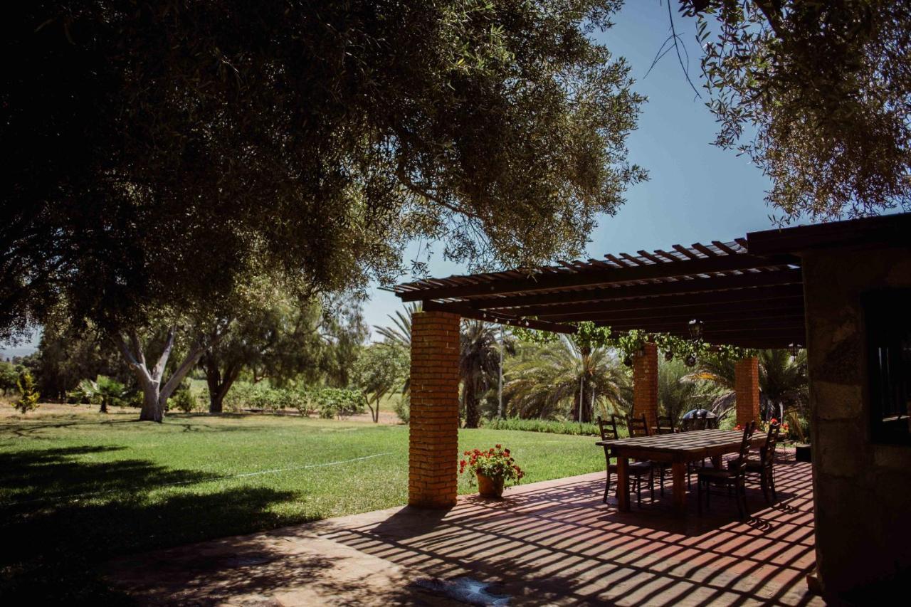Rancho Toros Pintos Villa Valle de Guadalupe Kültér fotó