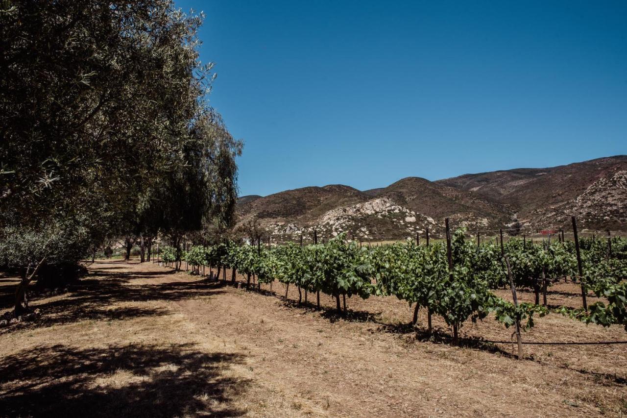 Rancho Toros Pintos Villa Valle de Guadalupe Kültér fotó