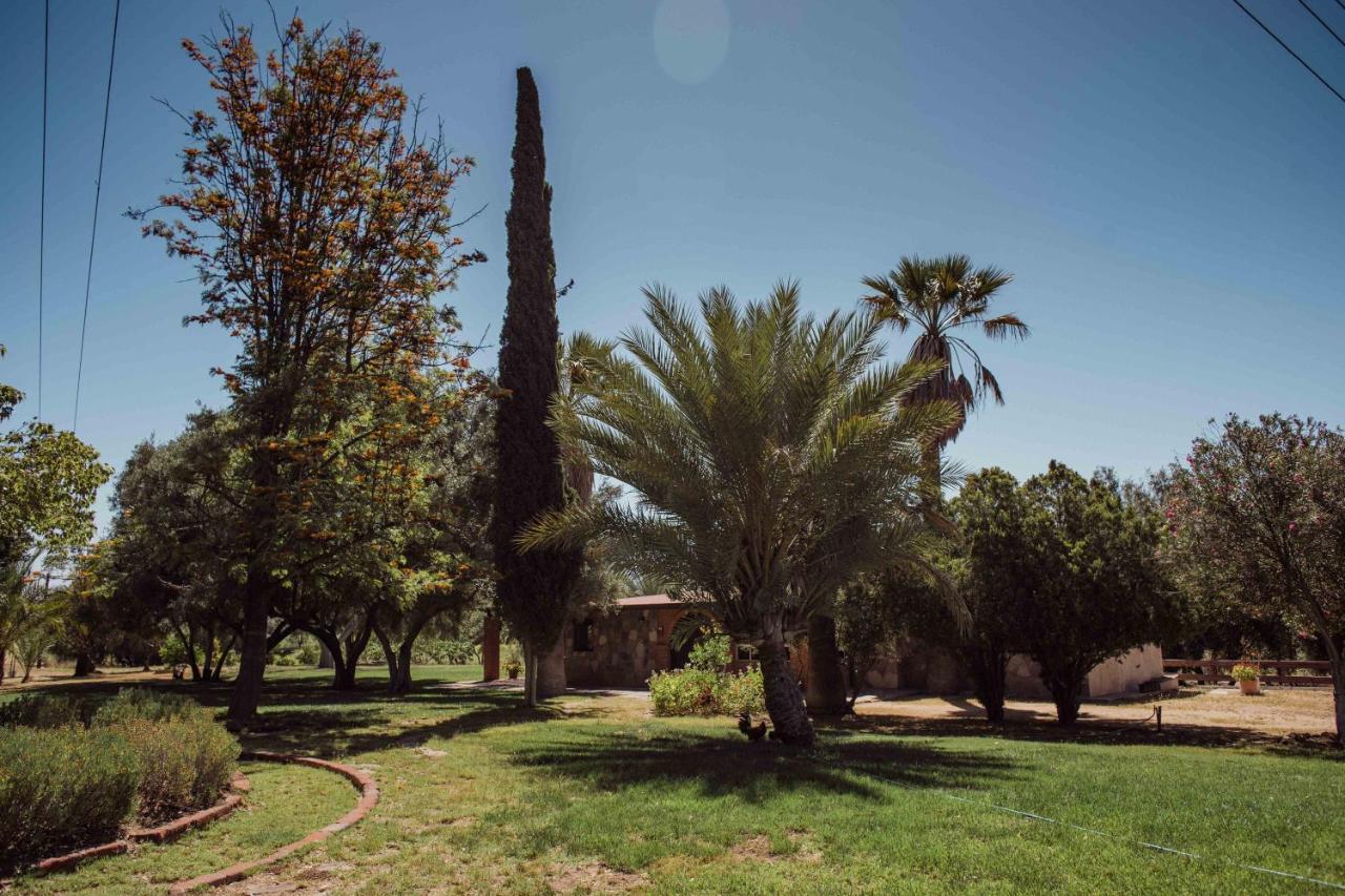 Rancho Toros Pintos Villa Valle de Guadalupe Kültér fotó