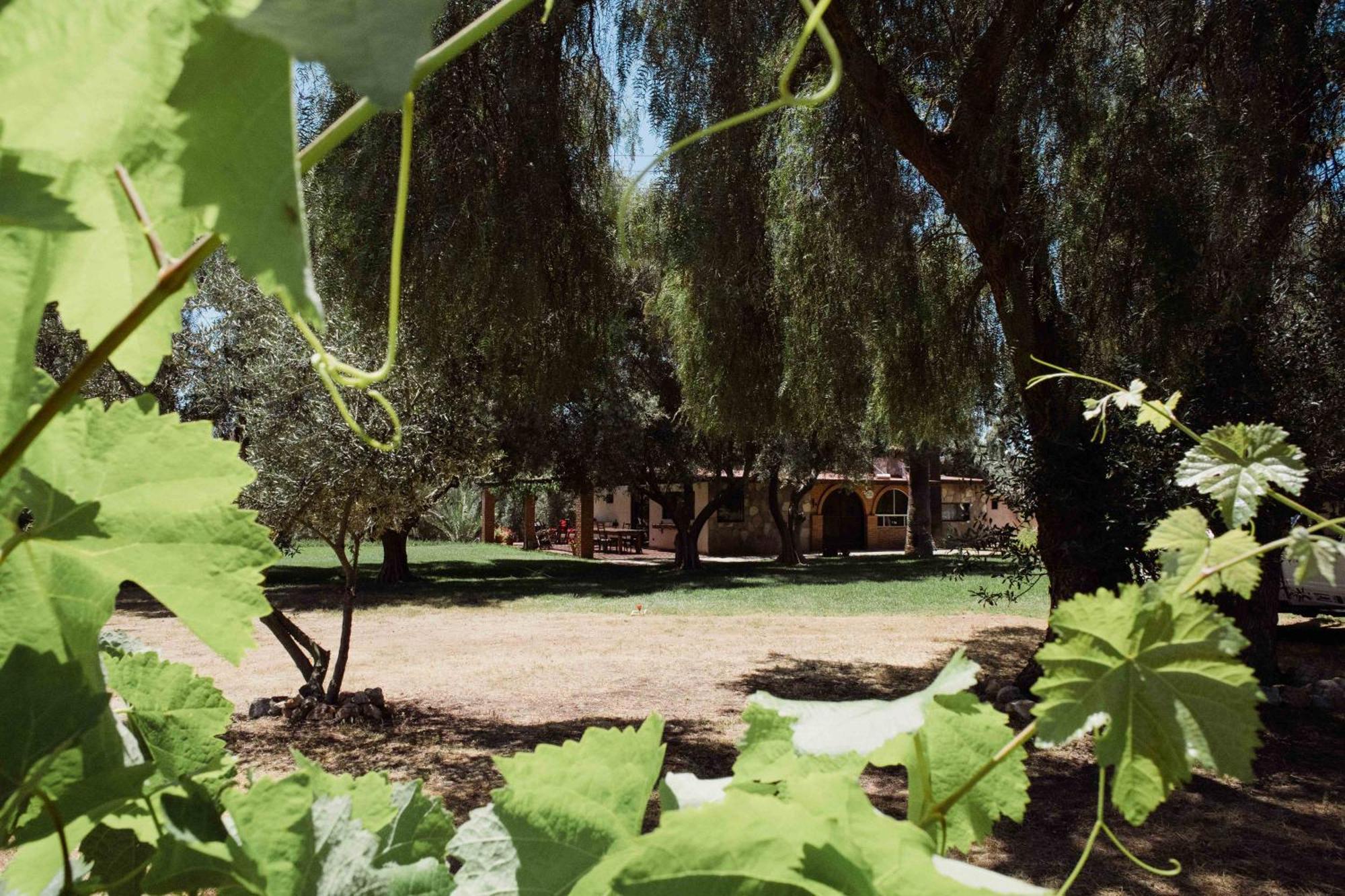 Rancho Toros Pintos Villa Valle de Guadalupe Szoba fotó